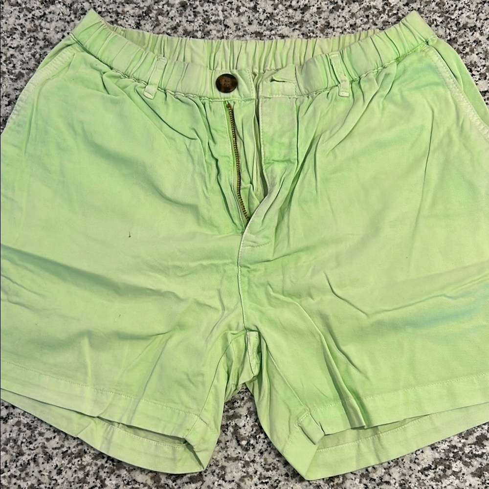 Light Green Casual Shorts